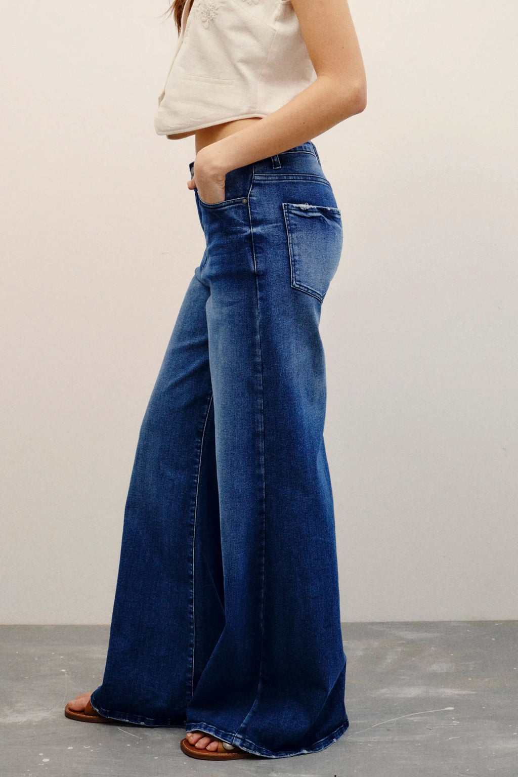 jean palazzo deep blue